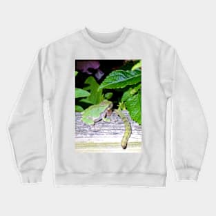 Frog Action Crewneck Sweatshirt